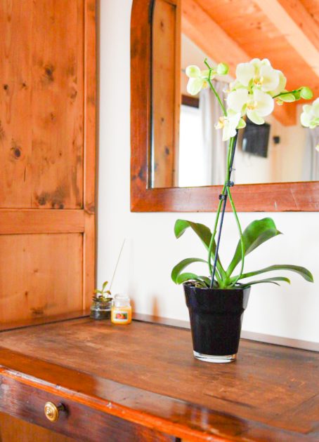 Camera con orchidea
